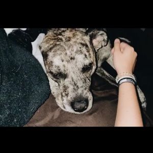 Meet your Posher, Paige